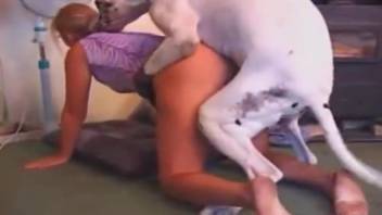 pale canine copulation