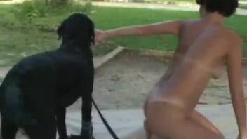 Beastiality whore giving oral to her canine