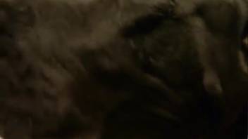 Beast ejaculates a massive amount of cum