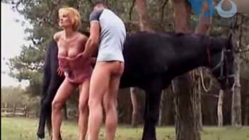 Sucking equine cock