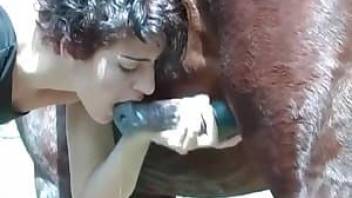 Brutal animal sex featuring a hot zoophile