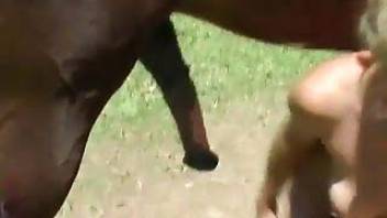 Brutal bestiality farm porn with a horse