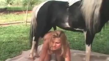 Savage insertion scene with a horse