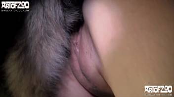 Canine pounds her snug pussy on cam