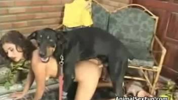 Enjoying dog sex
