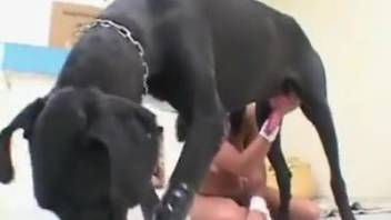Dirty woman truly loves her steamy doggy style