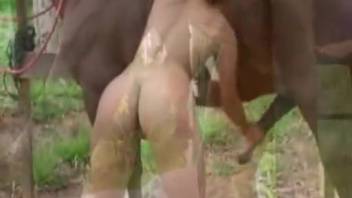 Intense vixen savors her beautiful stallion
