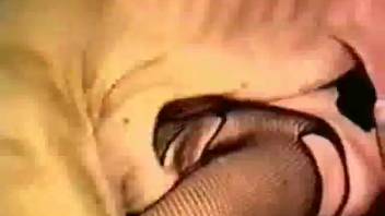 Sexy blonde getting her vagina licked by a dog