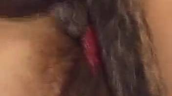 Allow me to blow this huge canine cock