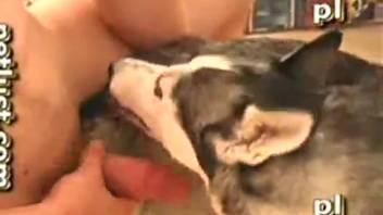 Powerful guy thrusts his massive dick into a bitch's cunt