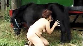Muscled horse can fuck her tight cunt