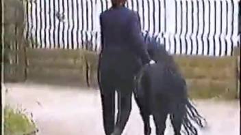 Alluring cute babe is a filthy bestiality fanatic, she blows a pony's cock and gets it to tongue her pussy