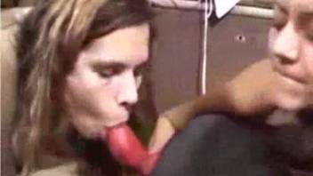 Shared canine penis fellatio