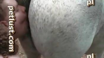 Narrow pussy gets pounded by a stallion