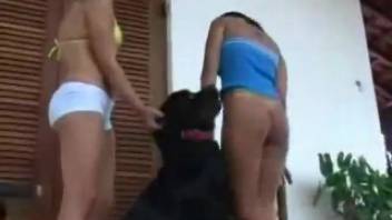 Pair of babes and a hound