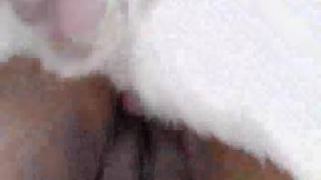 Pale canine dick