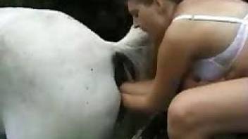 Zoo sex action featuring a stunning farm animal