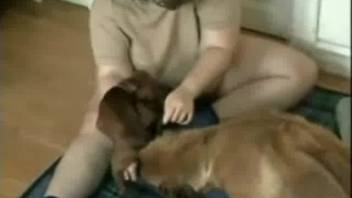 Nighttime canine intimacy tales