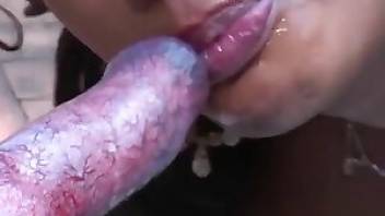 Dog fucks girl after she sucks its big dick. Free bestiality and animal porn