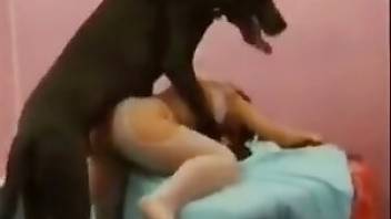 Bestiality videos – teen pussy licked by a dog. Free bestiality and animal porn