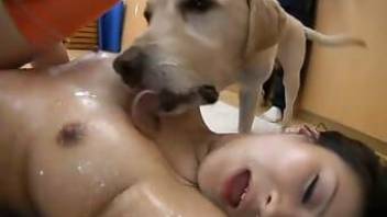 Dog bestiality vid with a JAV hottie