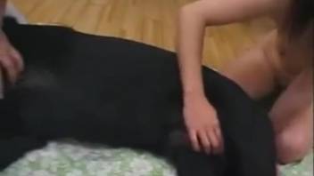 Zoophilia erotica: Japanese woman fond of dogs performs oral sex on penis. Complimentary animal sex and bestiality videos
