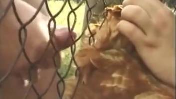 Rural guy desires to screw hens
