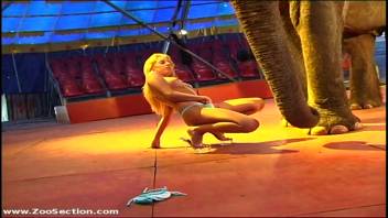 Latin American animal lover enticing a sexually excited elephant