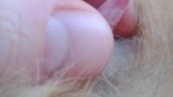 Animal sex clips featuring small creature dicks. Complimentary zoophilia and beast porn.