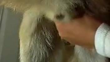 Zoophilia erotica showcasing an excellent handjob. Complimentary beast and animal pornography