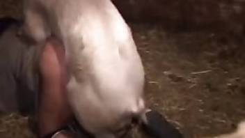 Sexy pig fucking a guys tight butthole