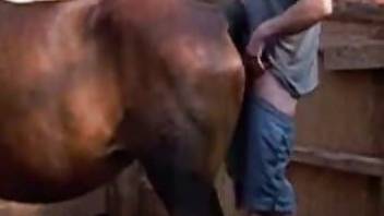 Brown farm animal fucked from behind