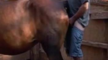 Dark-colored barnyard creature screwed doggy-style