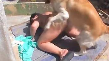 big dog licks pussy for woman and fucks her fast