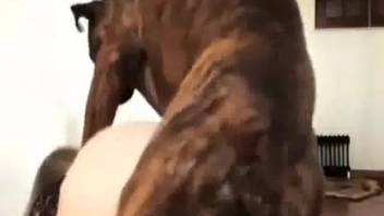 Slut offers her snug pussy for doggy style