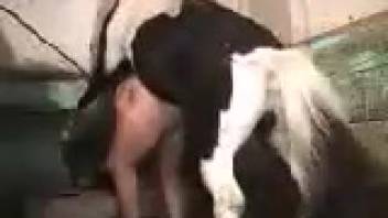 Tied-up whore screws aroused stud