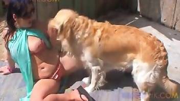 Dog sex tube video with lots of fucking