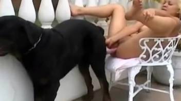 Extreme forbidden bestiality scene of wild outdoor desire