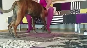 Animal sex tube video with hot  fucking
