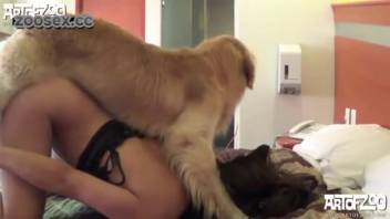 Female and canine bestiality erotic video encounter