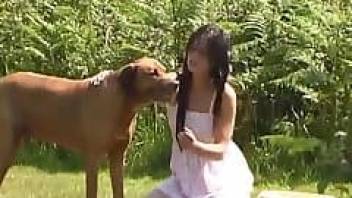 Gorgeous doggy and a passionate female