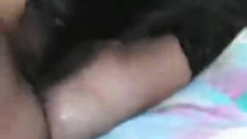 Woman's beastly intercourse with a dark canine