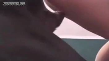 Innocent babe screwed by a massive hound