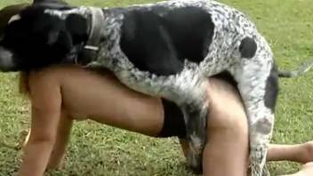 Heavenly dark-haired beauty screwed by her frisky pup