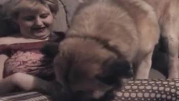 Stunning woman is being screwed by a canine