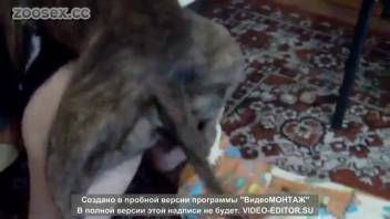 Horny woman banged by her cute pup