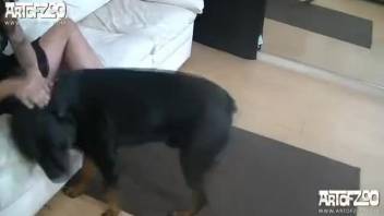 Dog fuck video with a kinky brunette