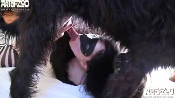 Disguised vixen adores a hairy dick
