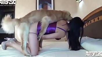 Dog licking pussy porn video. Free bestiality and animal porn