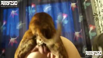 Blonde presents her orifices to a hot pup
